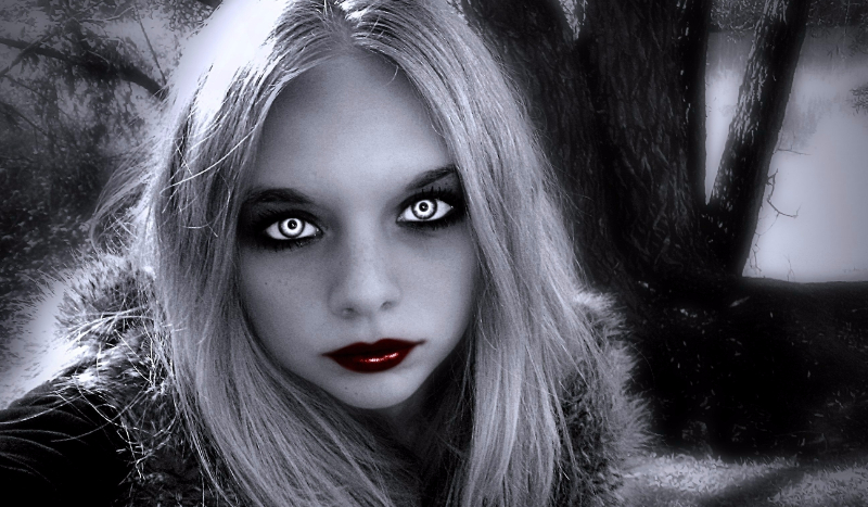 Przyjaciel wampira – wprowadzenie