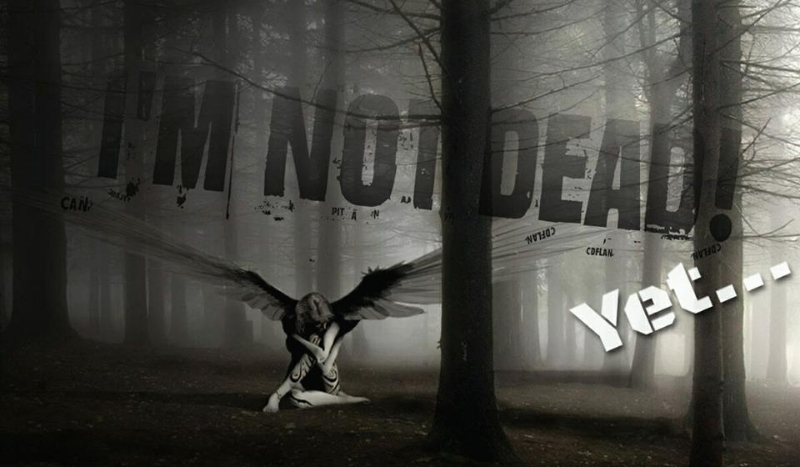 I’m not dead! Yet…