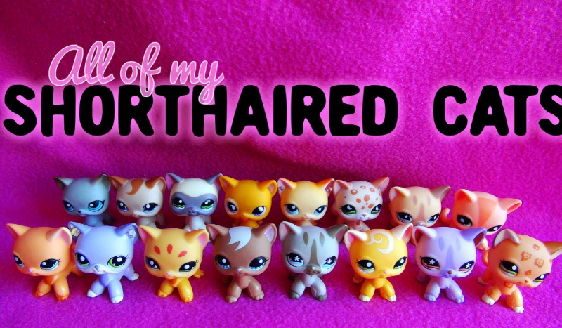 Którym LPS’em jesteś?