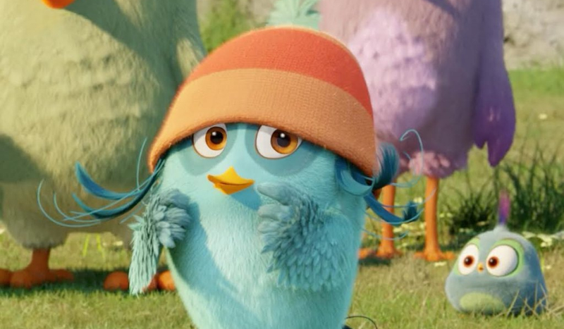 Czy zgadniesz, jaki to ptak?