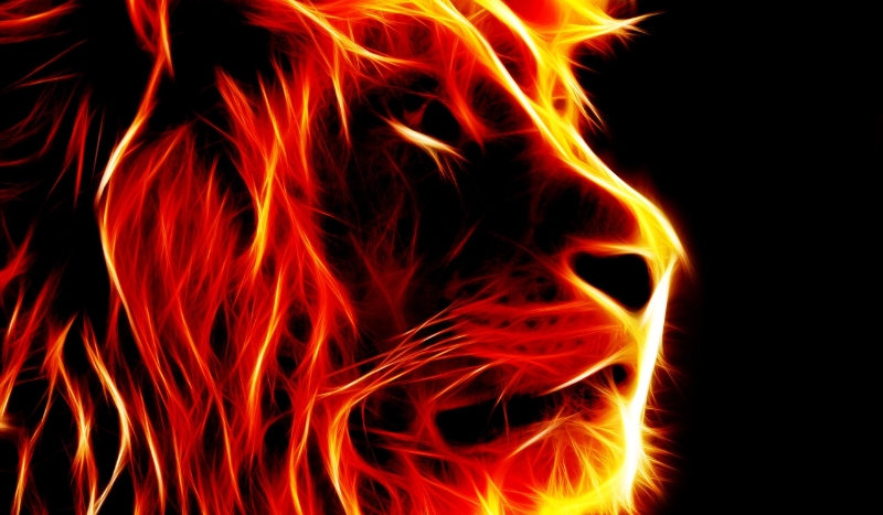 W Krainie Marzeń. Roździal 2