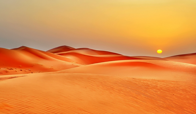 którym jesteś zwierzęciem?