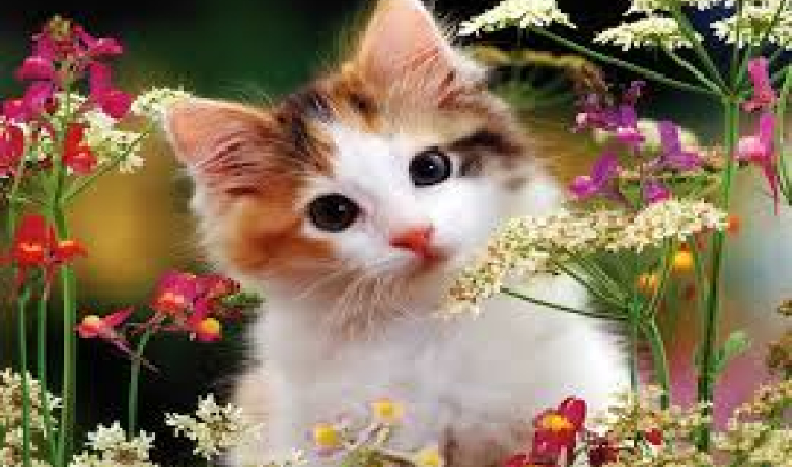 Czy jesteś dobrym uczniem?