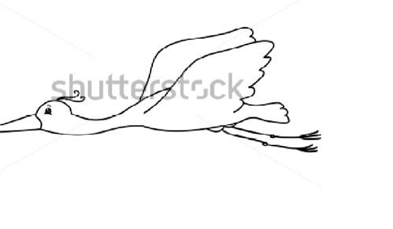 Czy jesteś głupi/głupa