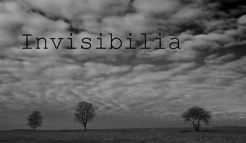 Invisibilia #2