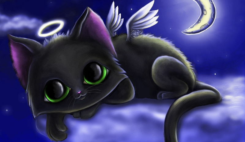 Czy jesteś wilkiem?