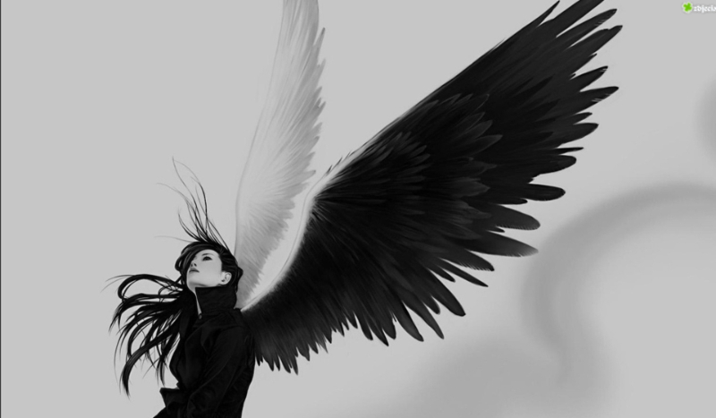 Hogwardzkie Skrzydła #4