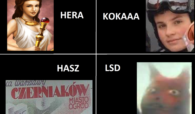 Rozpoznawanko by Opcio