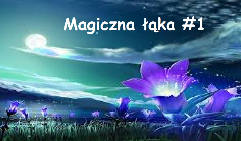 Magiczna łąka #1 Wprowadzenie
