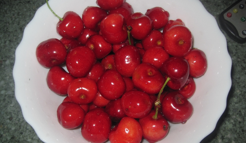 jak znasz jutuberów