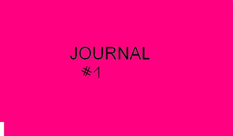 Journal #1