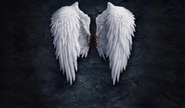 Na skrzydłach wieczności- wprowadzenie