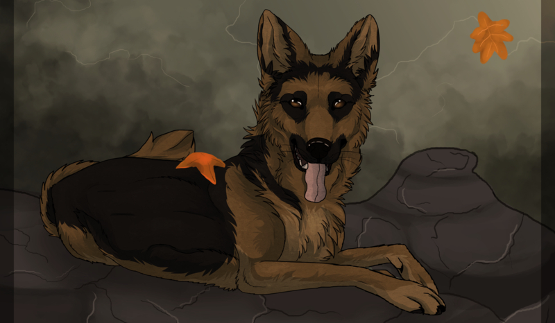 Czy zgadniesz co to za psy ?