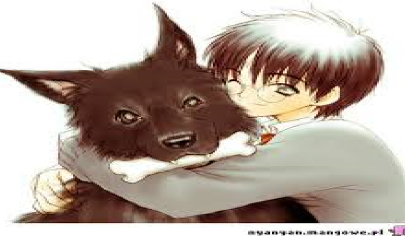 Syriusz, ja i Huncwoci #4