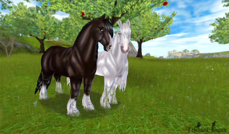 Na ile procent lubisz star stable online?