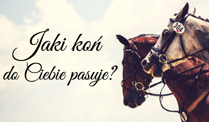 Jaki koń do Ciebie pasuje?