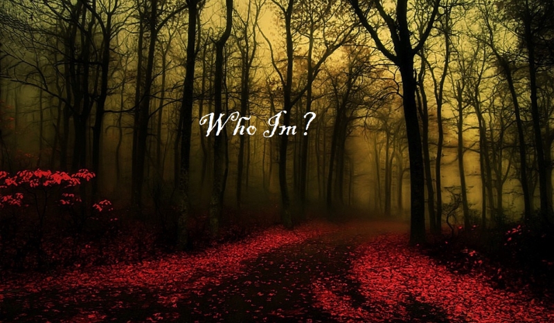 Who Im? #2