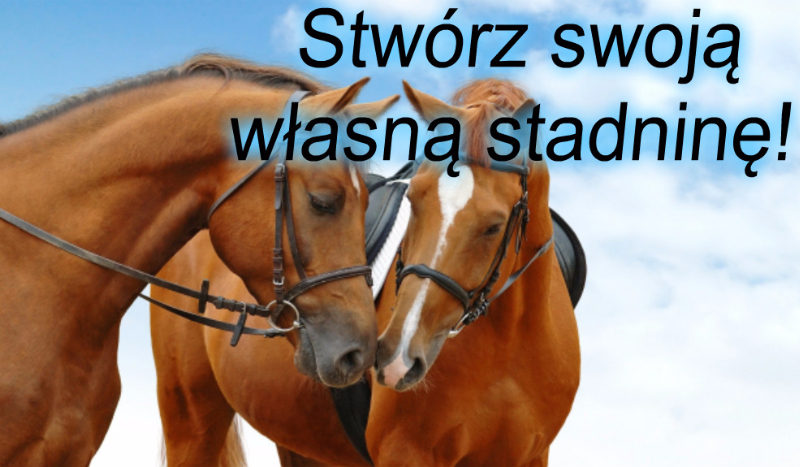 Stwórz swoją własną stadninę!