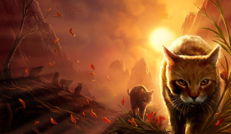 Do jakiego wojownika pasujesz?