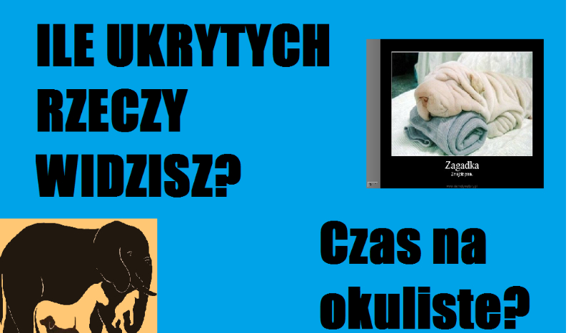 Ile Widzisz Ukrytych Rzeczy?