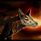 NightmareFox