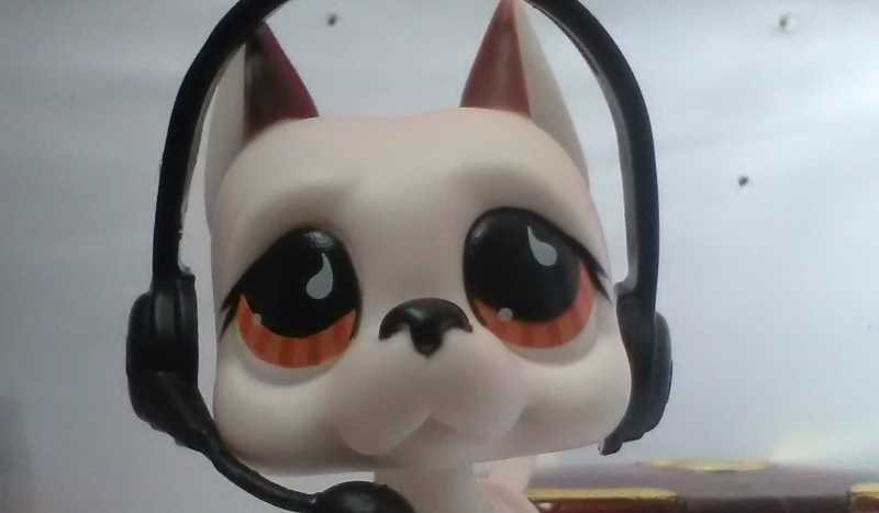 Czy rozpoznasz numerki lps???