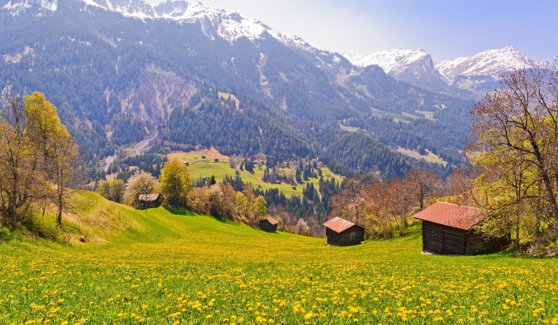 Zbuntowana dziewczyna #1