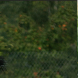 bbbbbbbbbbbbbbbbbbbbbbbbb