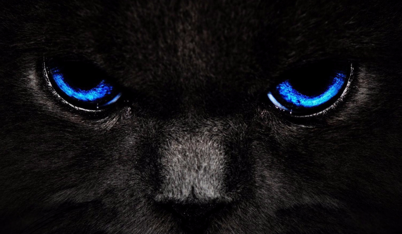 Sprawdz jaki jesteś!!!!