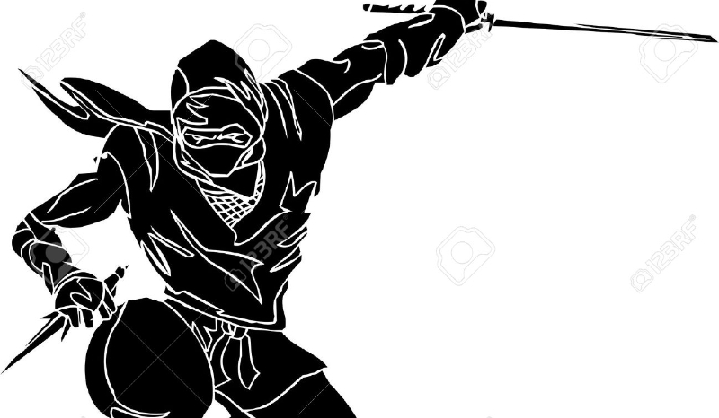 Jakim ninją jesteś?