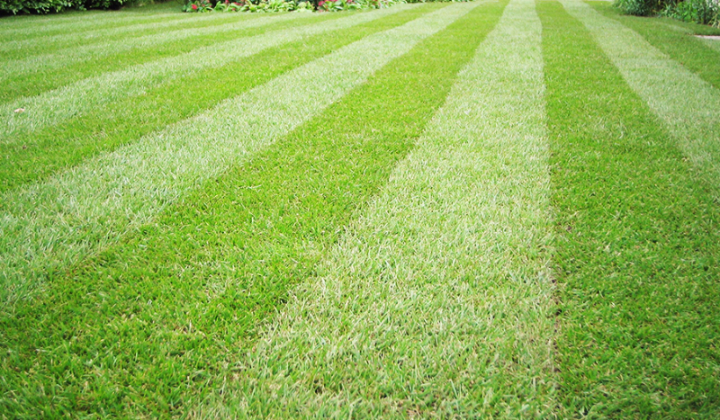 jaki styl przyjaciela do ciebie pasuje?