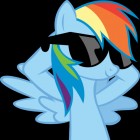 RainbowDash12