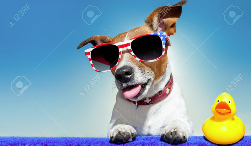 JAKĄ SKARBONKĘ POWINNAŚ/EŚ MIEĆ???