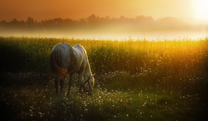 Czego w życiu pragniesz?