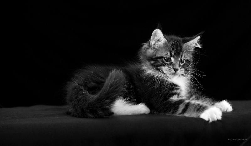 Życie nastolatki  #1