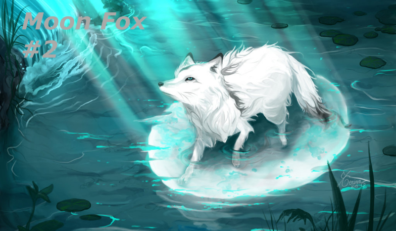 Moon Fox #2