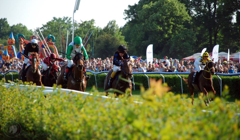 Jak dobrze znasz się na koniach i jeździectwie?