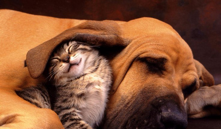 Którym YTberem jesteś