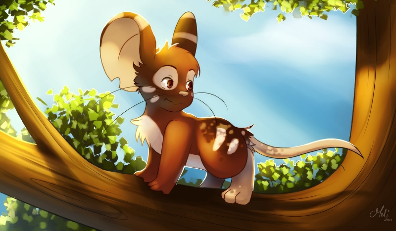 jak dobrze znasz gre transformice?