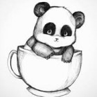 Panda_zycia