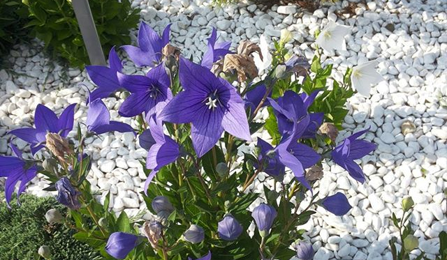 Który lepszy oufit?