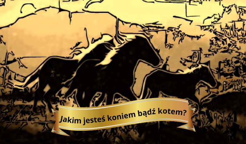 Jakim Jesteś koniem bądź kotem? SPRAWDŹ !