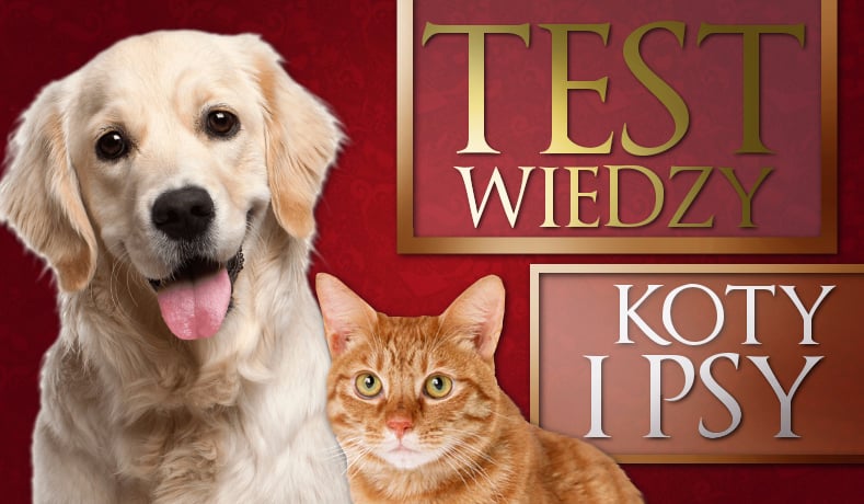 Test wiedzy o psach i kotach!