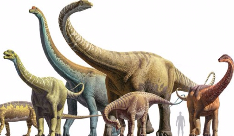 Jakim jesteś dinozurem :D