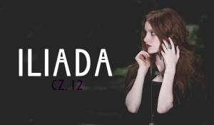 Iliada #12