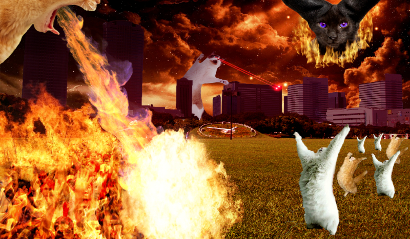 Jaką postacią z animu jesteś