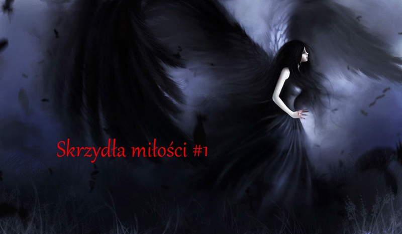 Skrzydła miłości #1