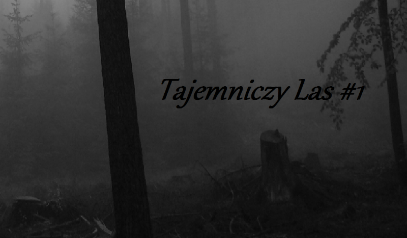Tajemniczy Las #1