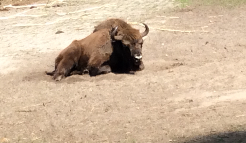 Jak dobrze znasz Marcin ?