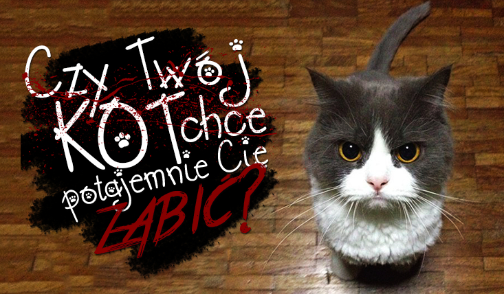 Czy Twój kot chce Cię zabić?